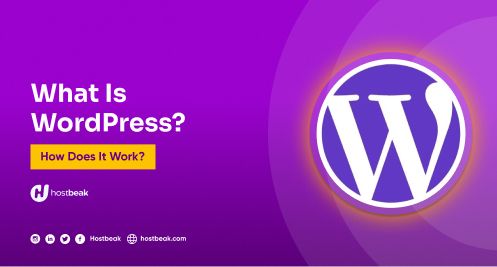 What is WordPress