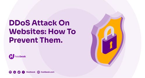 DDoS Attack On Websites